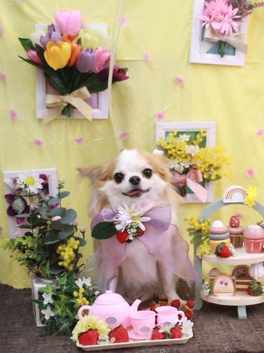 20230330くうくん